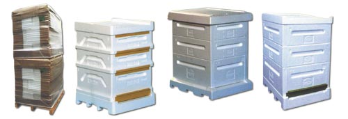 beebox.jpg