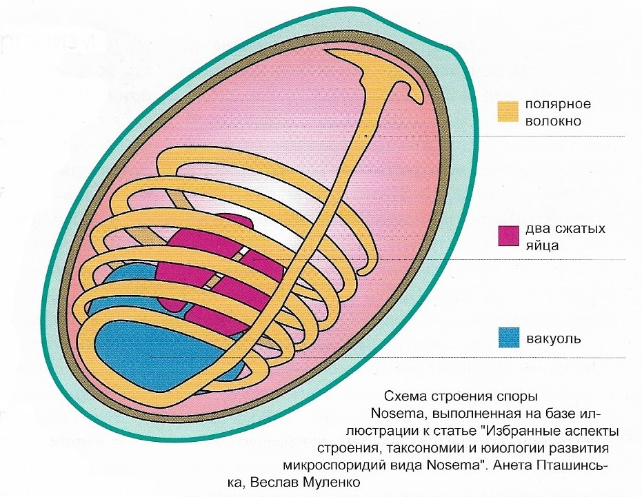 новость.jpg