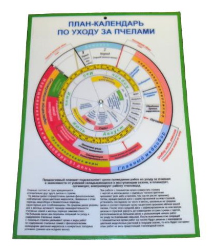 календарь.jpg
