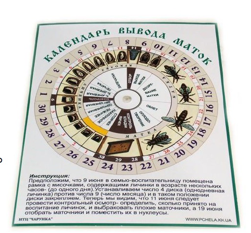 календарь 2.jpg